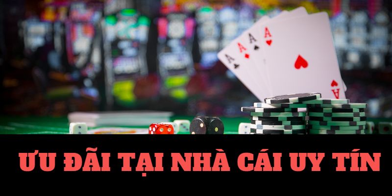 tỷ lệ cá cược bóng đá 24h tỷ lệ cá cược bóng đá 24h